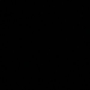 Meet your Posher, Oscar